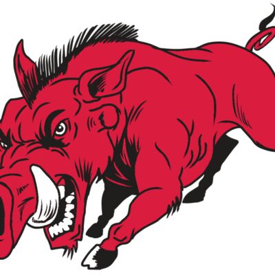 AR22 RAZORBACK 01 RQC Thumbnail